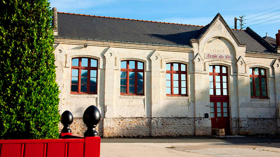 Ontdek wijnen in Saumur