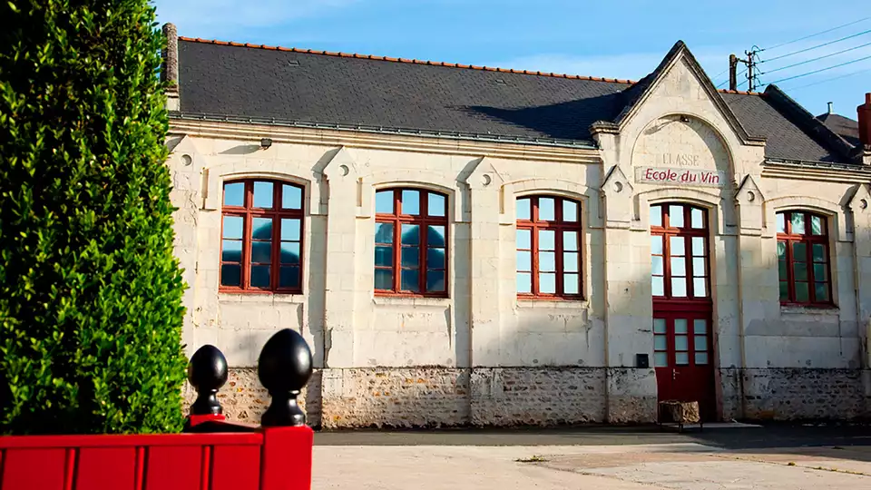 Ontdek wijnen in Saumur