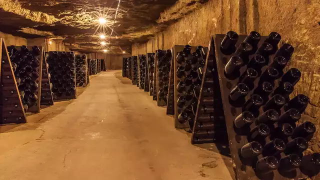 Descubre Tours y visita una hermosa bodega
