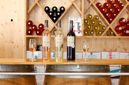 Week-end avec visite de cave et dégustation de vin près de Bandol