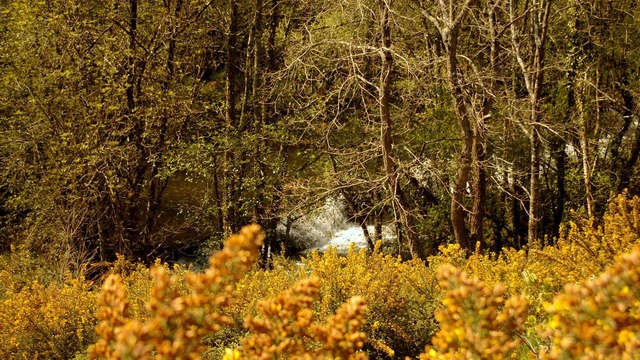 Hotel Balneario Oca Rio Pambre