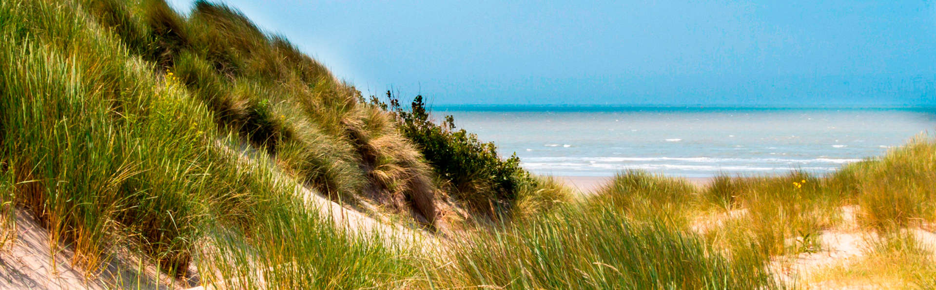 ACCOR - Ibis Styles Den Haag Scheveningen