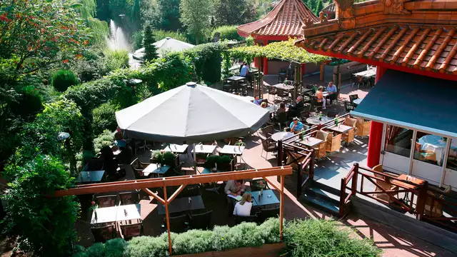 Especial de verano: relax rodeado de puro lujo cerca de Utrecht y Amsterdam