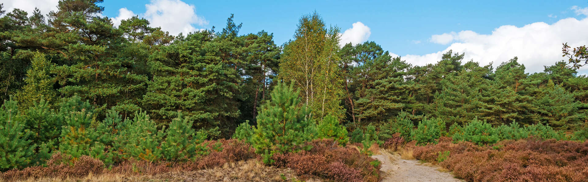 Veluwe Hotel De Beyaerd