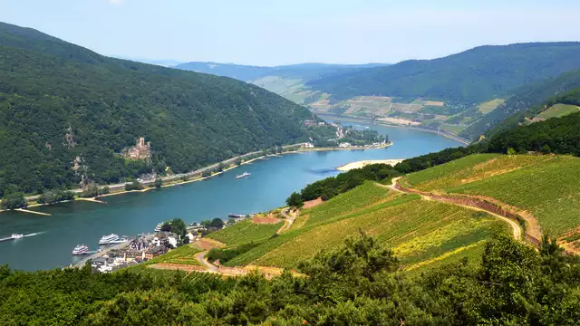Séjour de découverte dans la vallée du Rhin à Rüdesheim et de ses vins