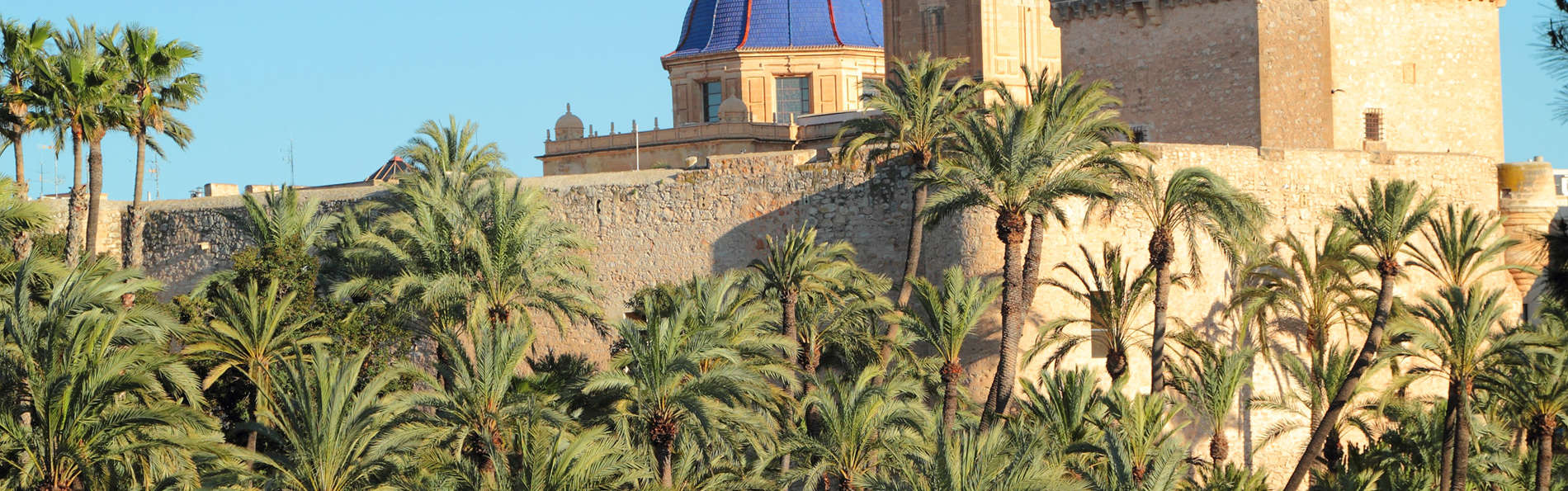 Hotel Areca  - edit_elche2.jpg
