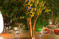 Hotel Areca