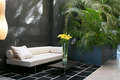 Hotel Areca