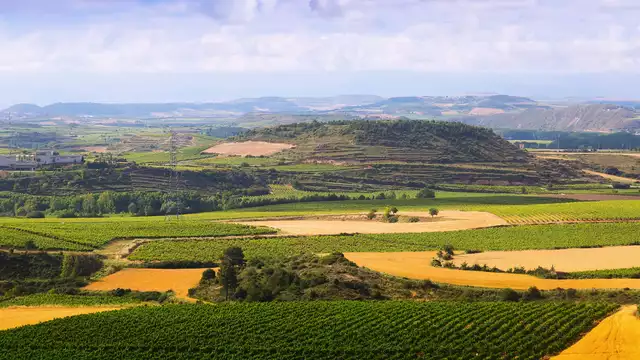 Descubre La Rioja Alta con desayuno incluido y botella de vino