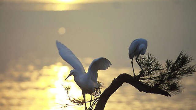 Escapada con alquiler de bicicletas gratuito durante 2h en Mazagón, muy cerca de Doñana,