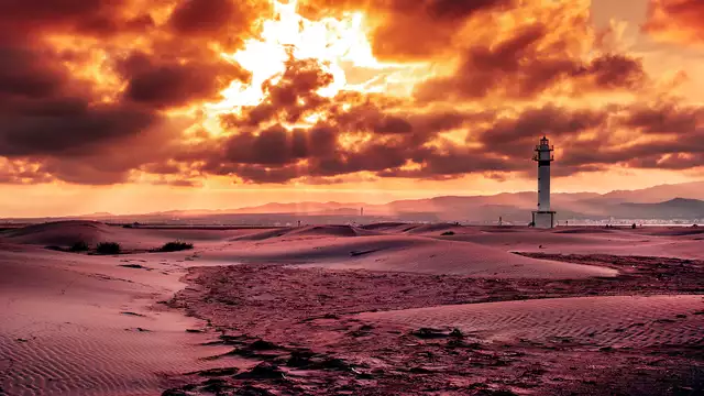 Descubre el encanto del Delta del Ebro y alójate a pie de playa