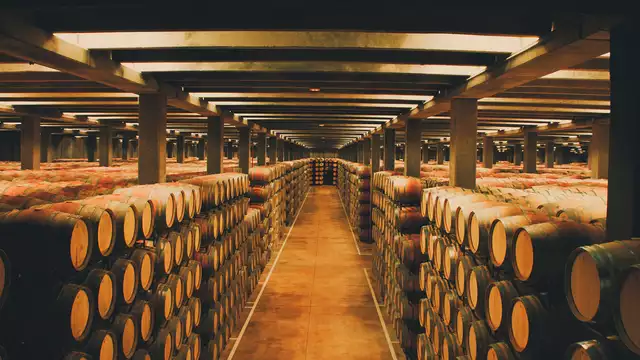 Vacanza enologica con cena a buffet e visita alle cantine con degustazione di vini