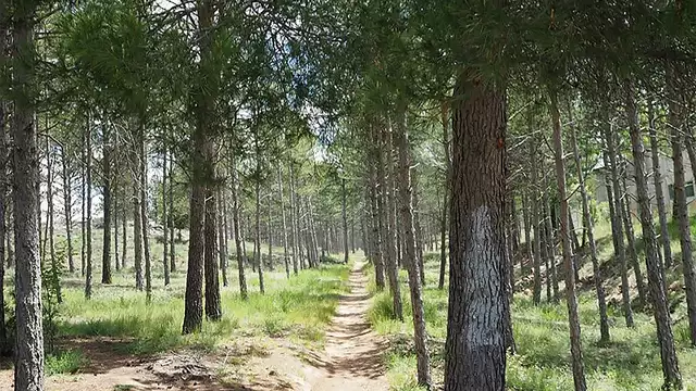 Escapada con Cena y descuento en visita a Bodega en Tierras del Burgo desde noches