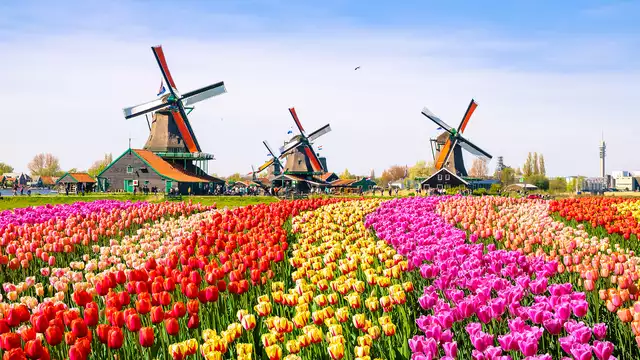 Geniet in een deluxe kamer in Zaandam, nabij Amsterdam