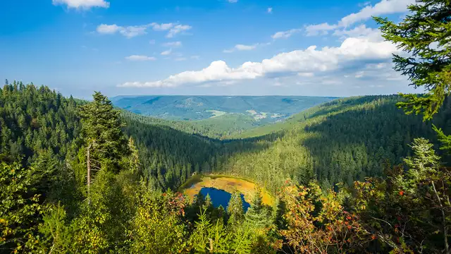 Bien-être et gastronomie dans l'idyllique Forêt-Noire