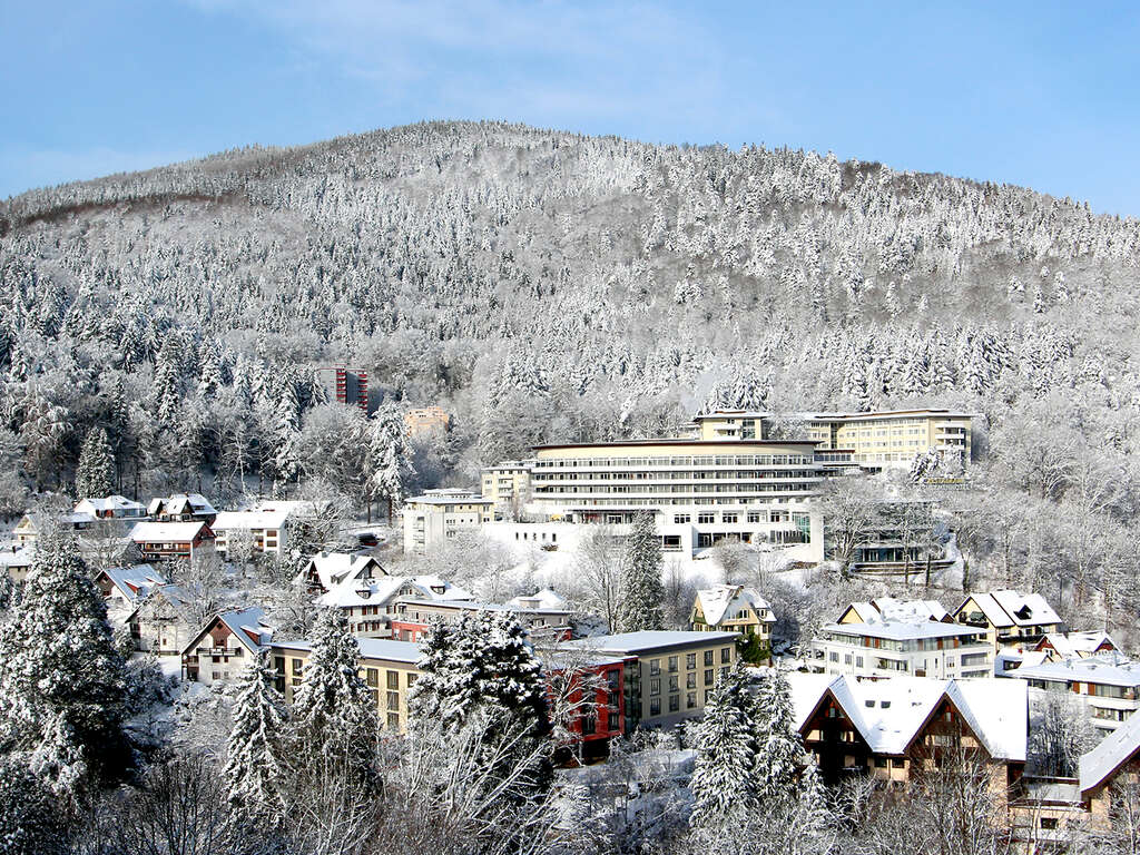 Détente, Gastronomie Et Les Marchés De Noël De La Forêt Noire - 4* (ref 15019)
