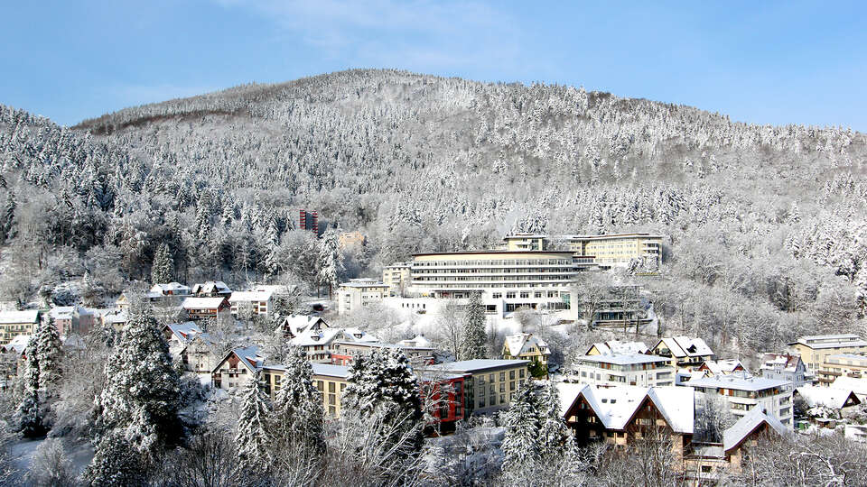 Detente gastronomie et les marches de Noel de la Foret Noire