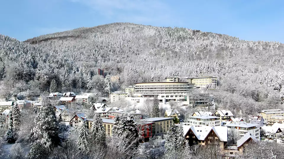 Detente gastronomie et les marches de Noel de la Foret Noire