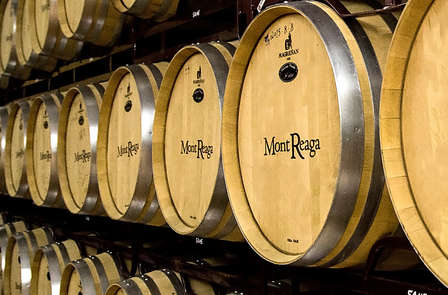 Week-end avec visite au château et plateau de bienvenue à Belmont