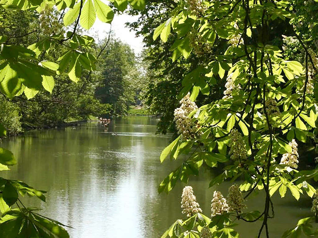 Séjour bien-être près de la Loire - 4* - 12
