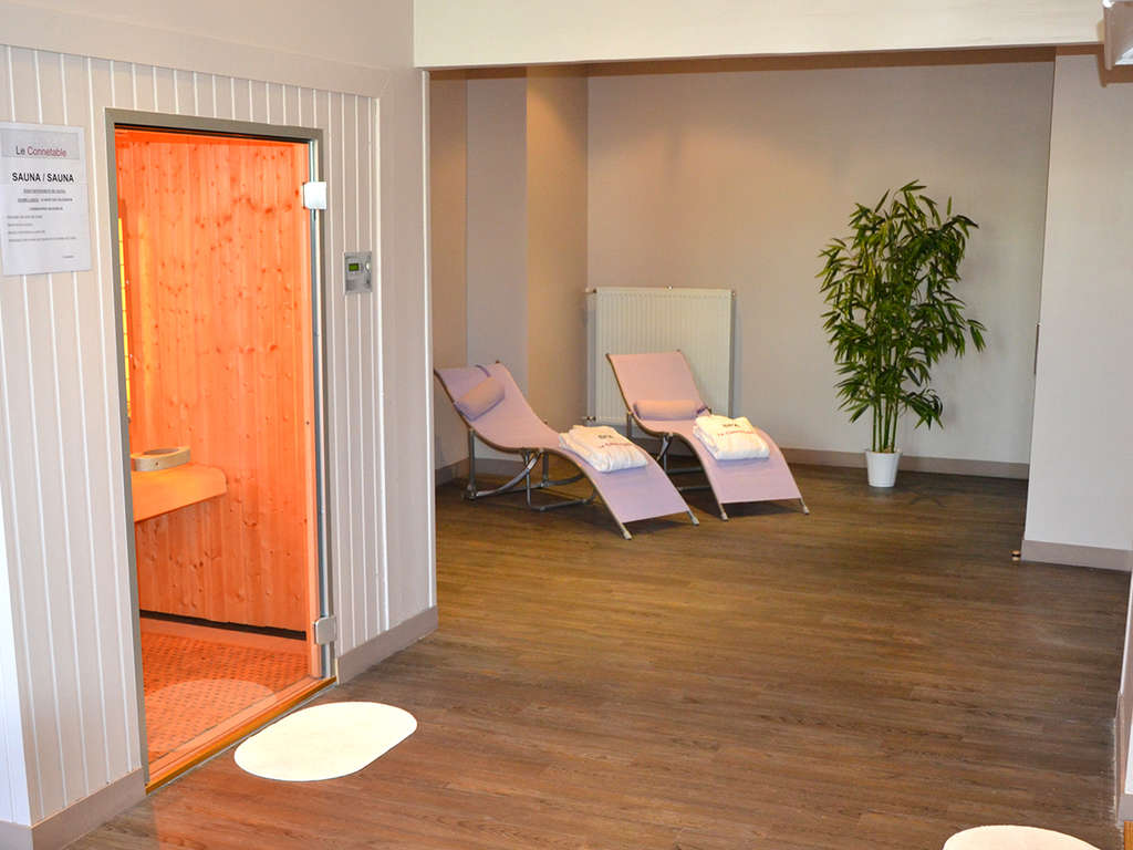 Week-end exceptionnel avec accès au spa dans un confortable 3* à Dinan - 3* - 8