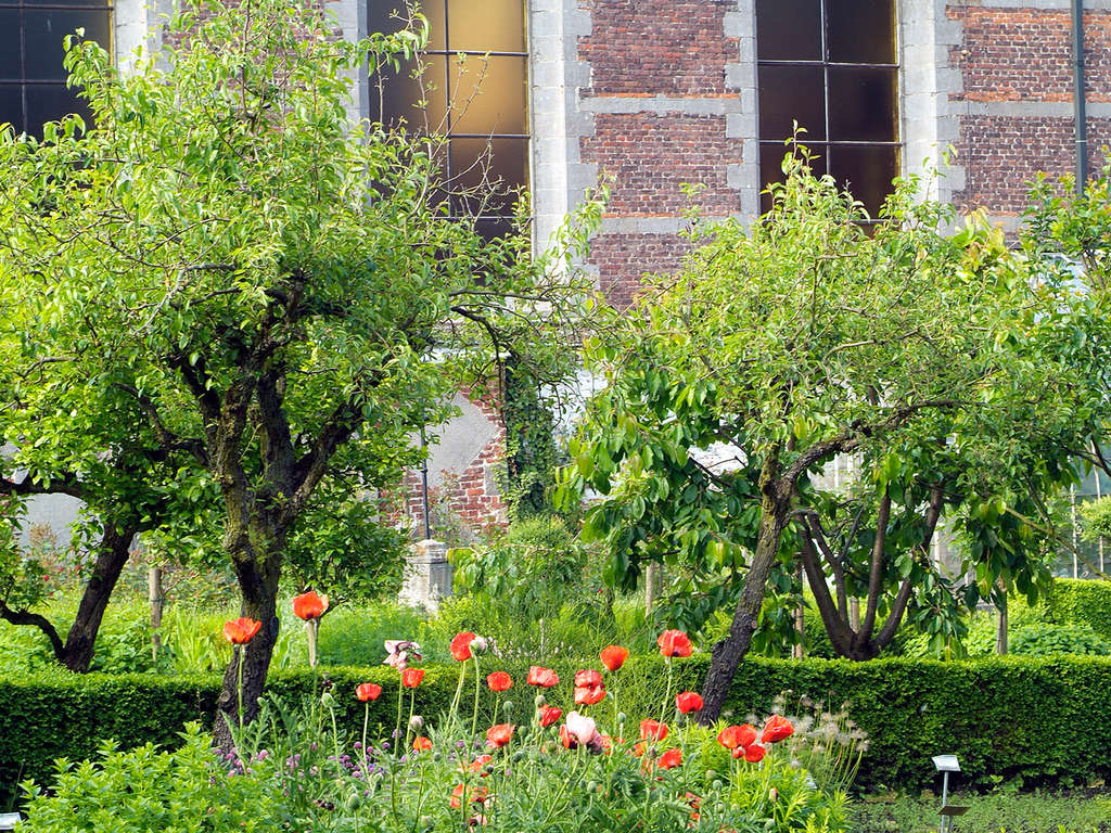 Weekend Lessines met een bezoek aan het voormalige Notre Dame à la Rose Hospital - 3* - 2