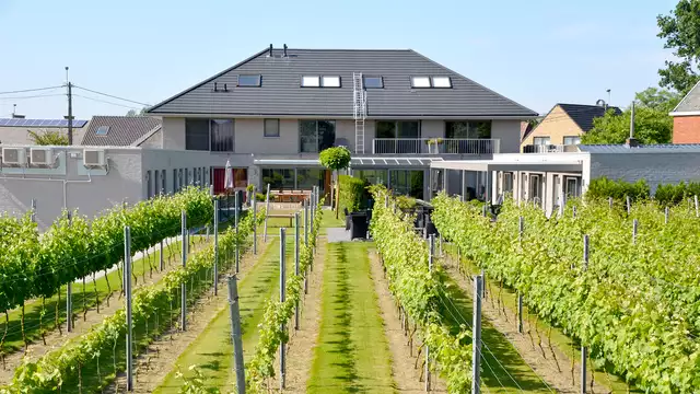 Vlaamse charme en luxe in Dendermonde