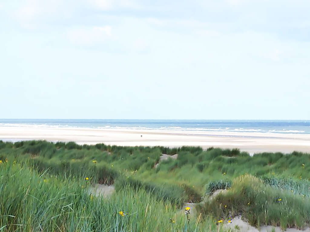 Savourez la nature de la Zélande lors d'une escapade - 4* - 11
