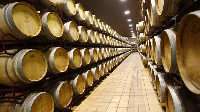 Expérience complète avec spa et visite d'un domaine viticole à Valdepeñas