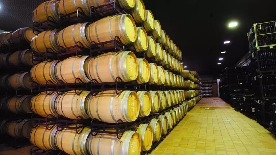 Descubre Castilla la Mancha con acceso de una hora de Spa y visita a una bodega en Valdepenas