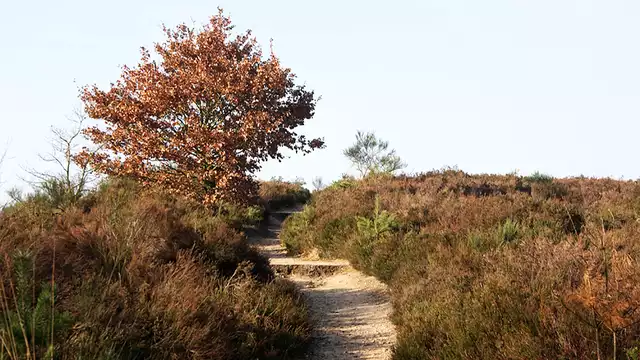 Comfortabel verblijf midden in de Kempense natuur
