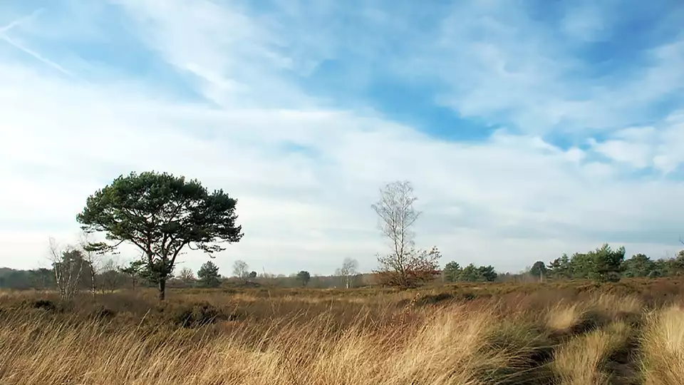 Ontdek de prachtige Kempen op de fiets vanaf nachten