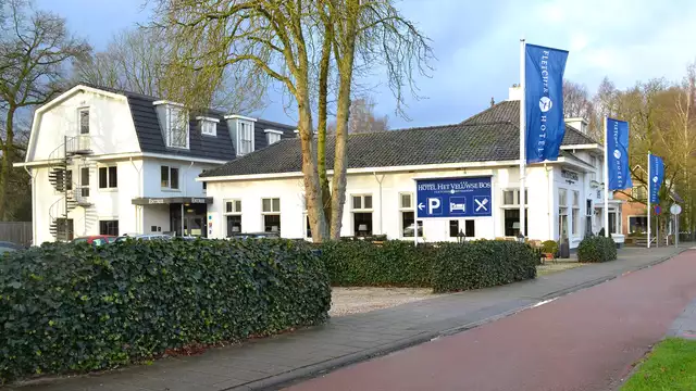 Pausa romántica en Veluwe, Países Bajos