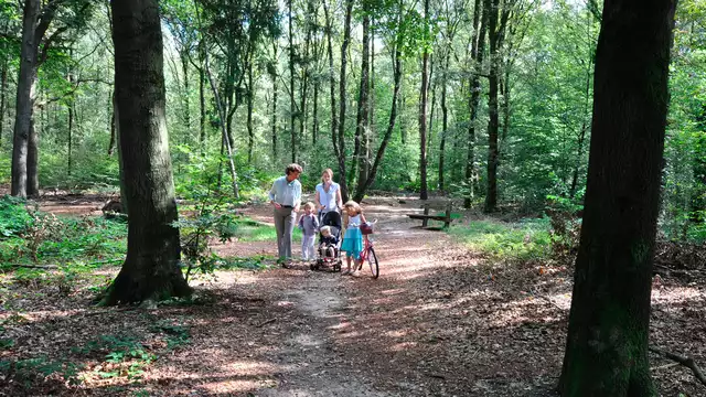 Een uitje voor de hele familie nabij Arnhem