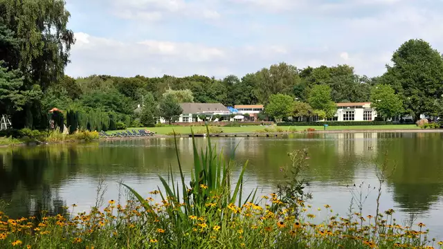 Romantiek in een bosrijke omgeving in de Veluwe, nabij Arnhem