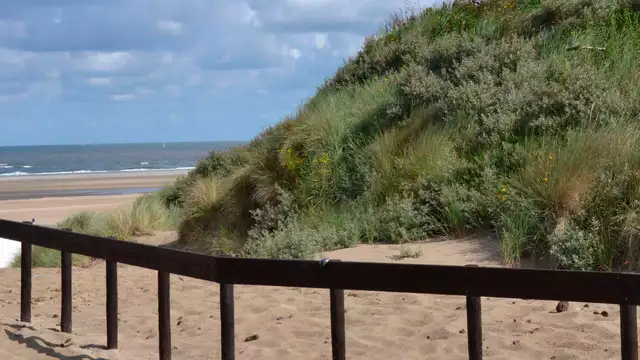 Genieten in Nieuwvliet-Bad op slechts 100 meter van het strand