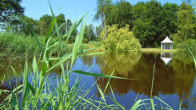 Mooi wandelen in het natuurgebied Landgoed Moermond
