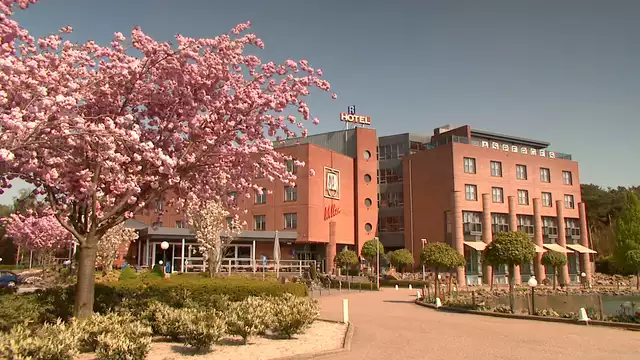 Disfrute del encanto de Limburgo en unas minivacaciones