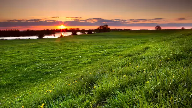 Geniet van de Hoge Veluwe vanuit jouw kamer met terras