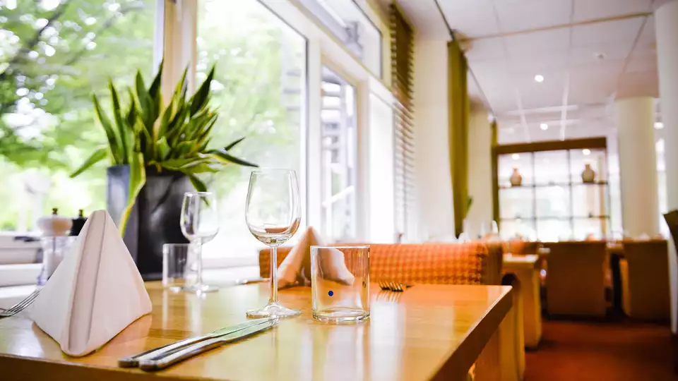 Diner dans la foret de la Veluwe