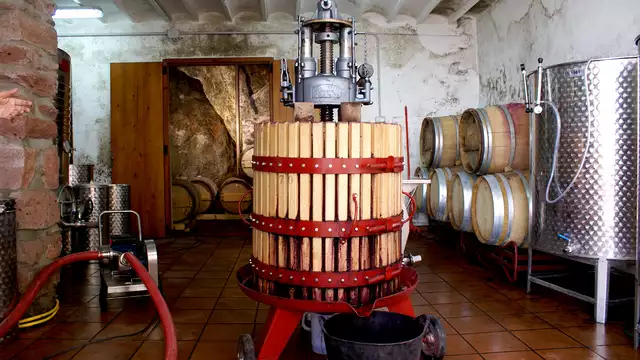 Visita e degustazione alla cantina Mayo García a Benicasim