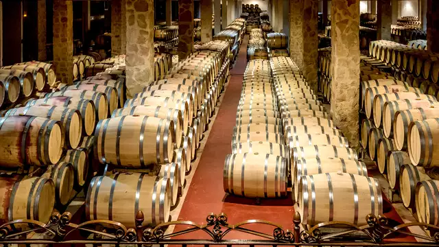 Escápate a Castellón en hotel con desayuno y entrada a la Bodega Mayo García