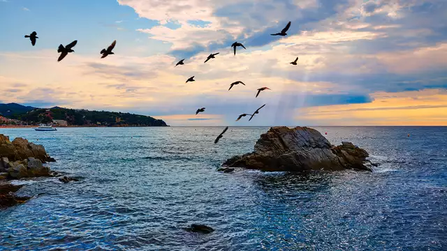 Esperienza con tutto incluso a Lloret de mar