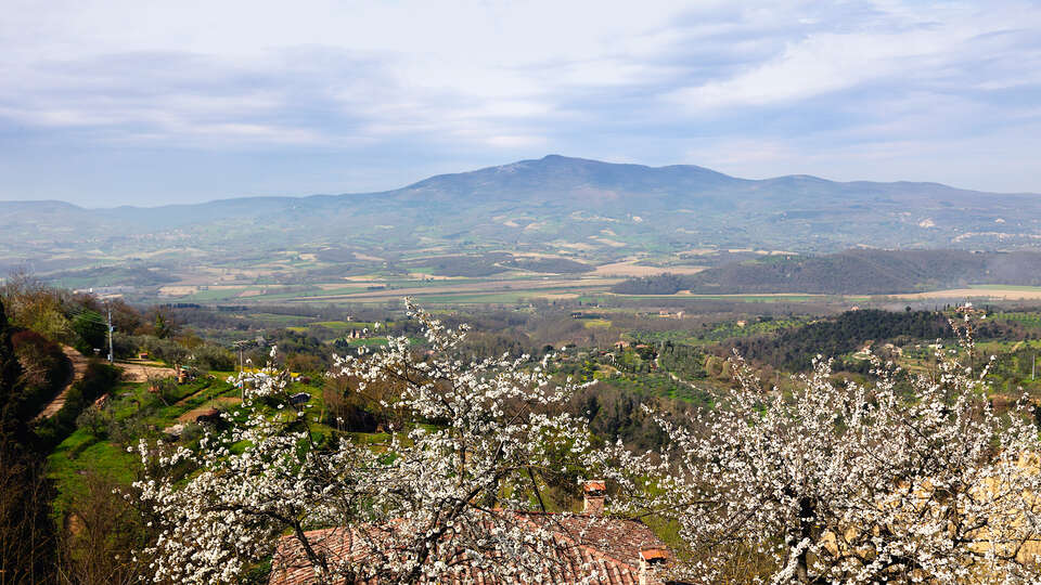 Descubre Umbria con un paseo en barco desde noches