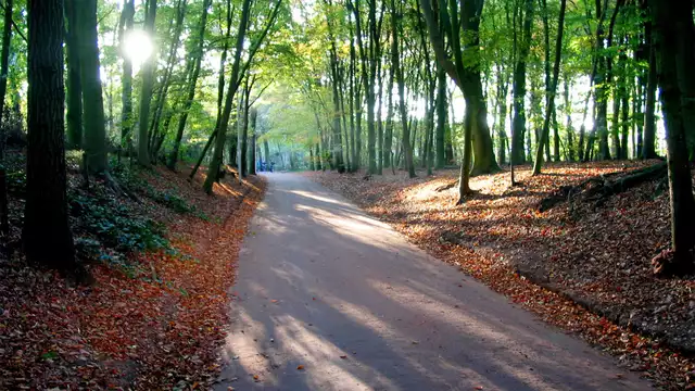 Cyclisme dans la magnifique région de la Veluwe (à partir de 2 nuits)