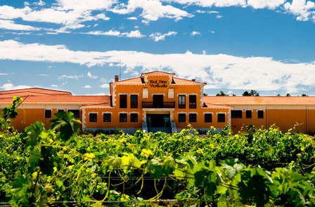 Voor wijnliefhebbers: uitje naar Ribera del Duero