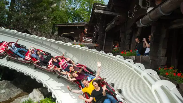 Uitstapje naar het centrum van Straatsburg met toegang tot Europa-Park! (op 50 minuten van het park)