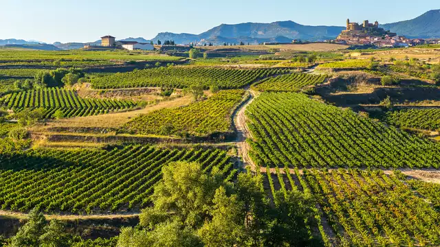 Évasion à La Rioja dans un somptueux palais avec petit-déjeuner inclus