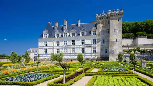 Escapade à 25 minutes de Tours avec visite du château de Villandry