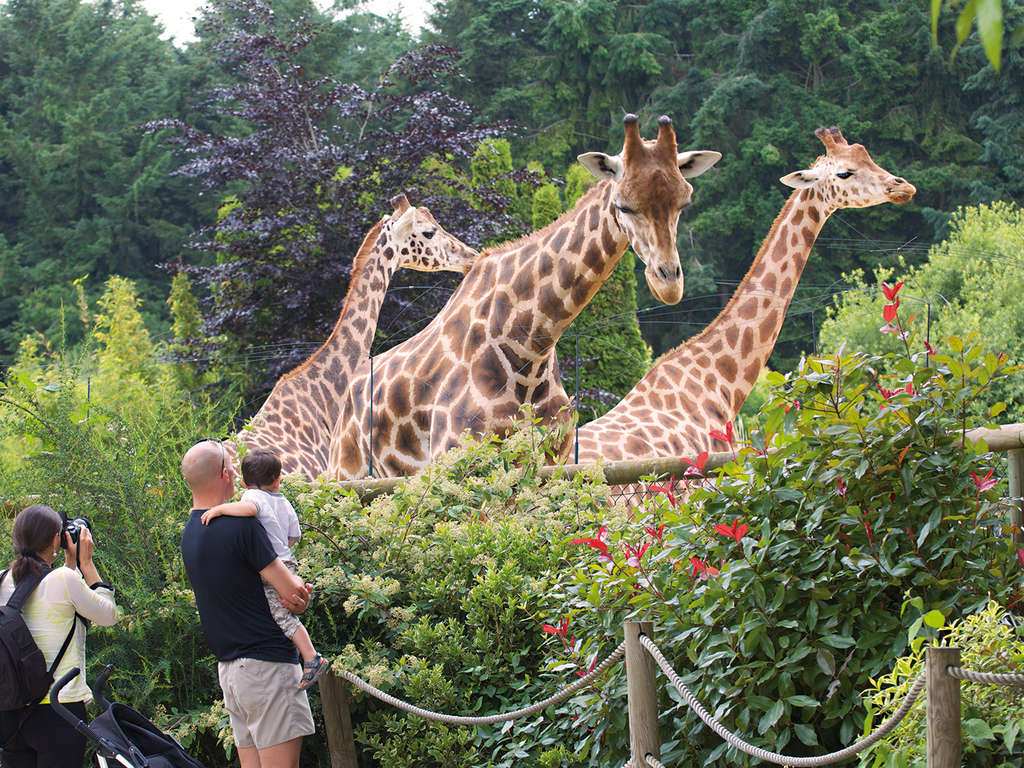 Séjour en famille à Dinan avec entrées pour le parc zoologique de la Bourbansais - 4* - 1